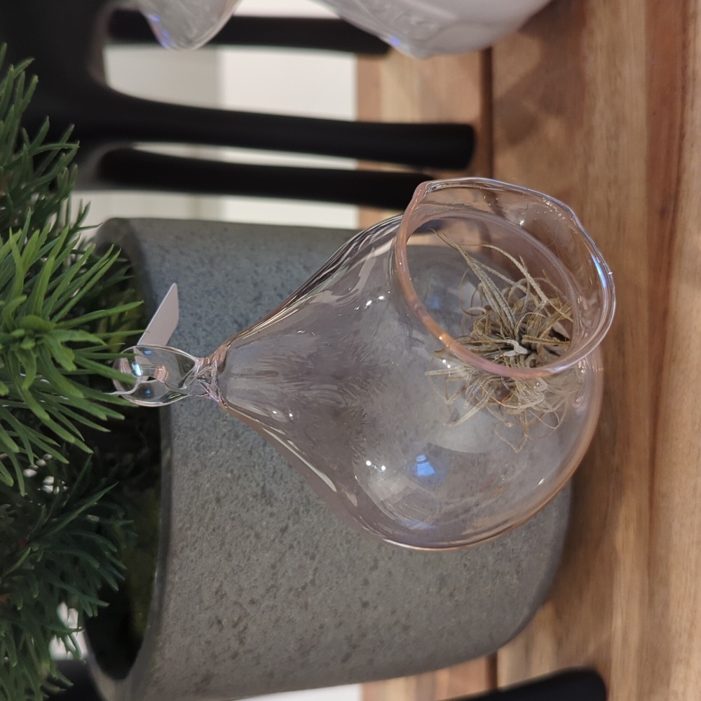 NWT Blown Glass Globe with Air Plant Included